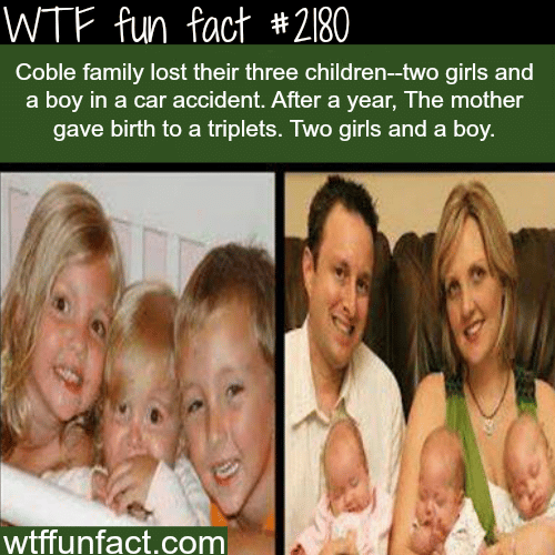 Coble family lost their kids - WTF fun facts