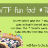 cocaine facts