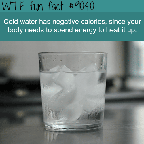 Cold Water can help you lose weight - WTF fun facts