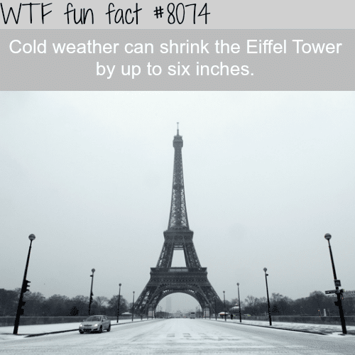 Cold weather shrinks the Eiffel tower  - WTF fun fact