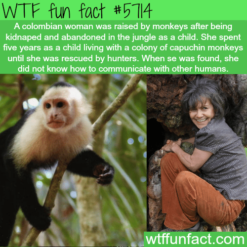 Colombian women raised by capuchin monkeys - WTF fun facts