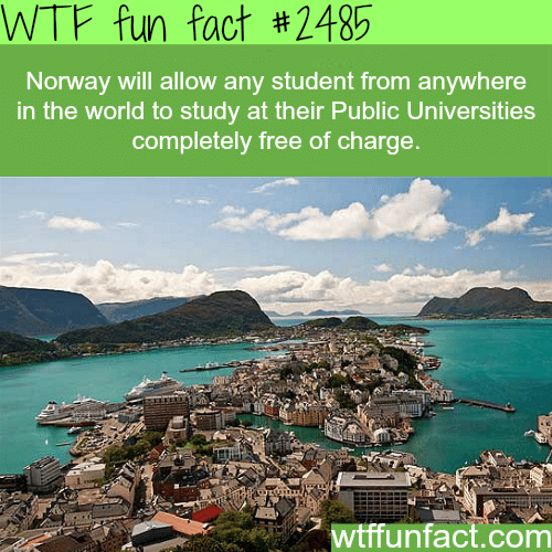 Countries with free education - WTF fun facts