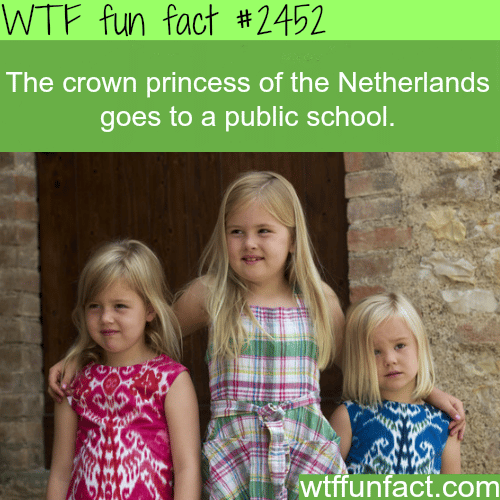Countries with the best education system - WTF fun facts