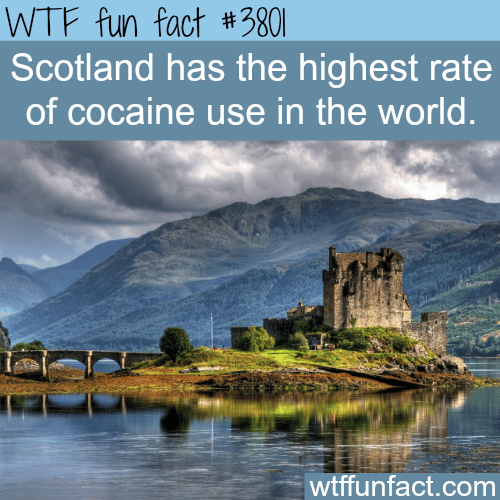 Countries with the highest rate of cocaine use - WTF fun facts