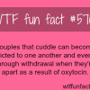 couples that cuddle can become addicted to one