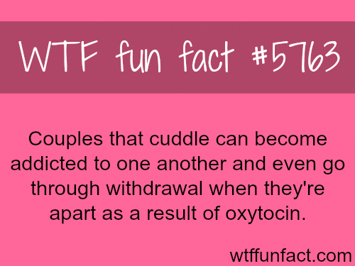 Couples that cuddle can become addicted to one another  - WTF fun facts