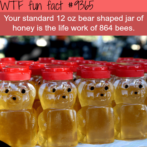Crazy fact about honey - WTF fun facts