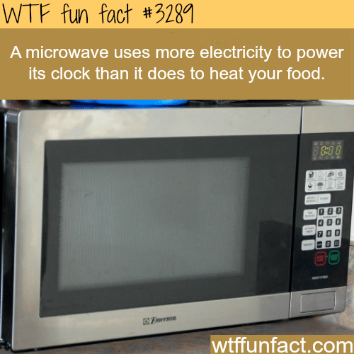 Crazy fact about the microwave -  WTF fun facts