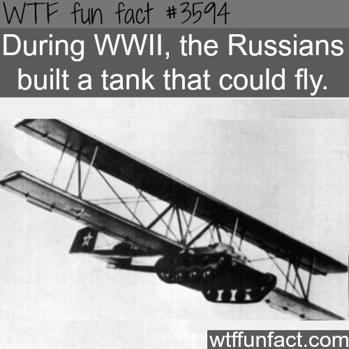 Crazy facts about Russia -  WTF fun facts