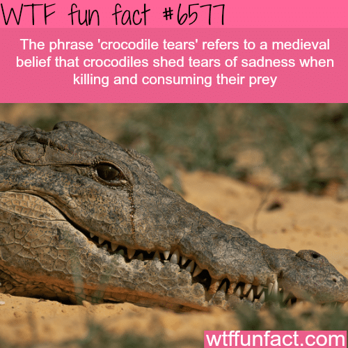 Crocodile Tears - WTF fun facts