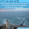 cross sea wtf fun fact