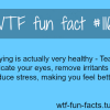 crying facts