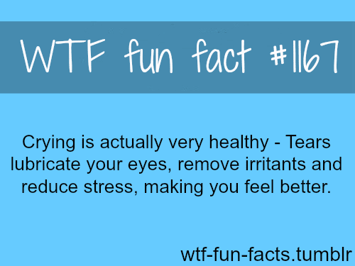MORE OF WTF-FUN-FACTS are coming HERE 
