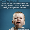 crying wtf fun facts