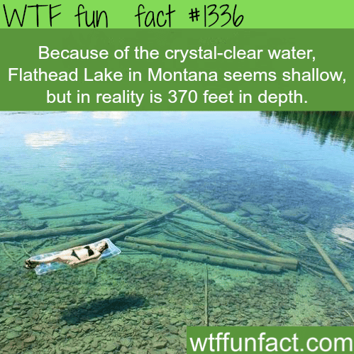 Crystal clear water - Flathead Lake
