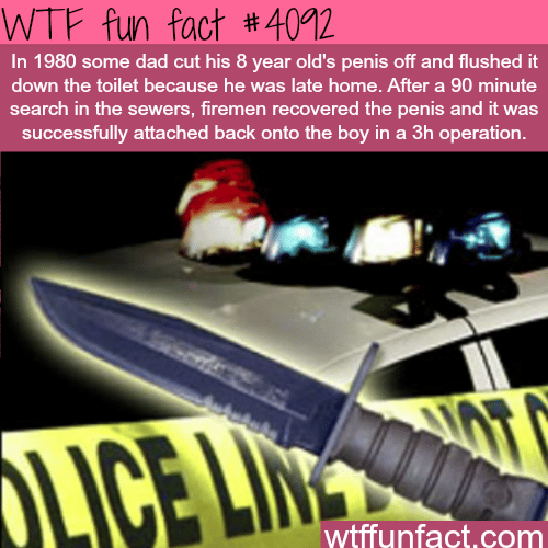 Dad cut off his sons penis and flushed it down the toilet - WTF fun facts