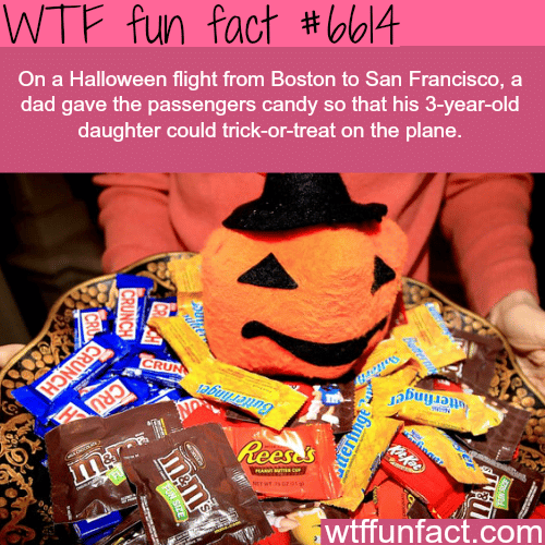 Dad of the year - WTF fun facts