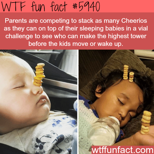 Dads competing to stack the most cheerios on their babies - WTF fun facts