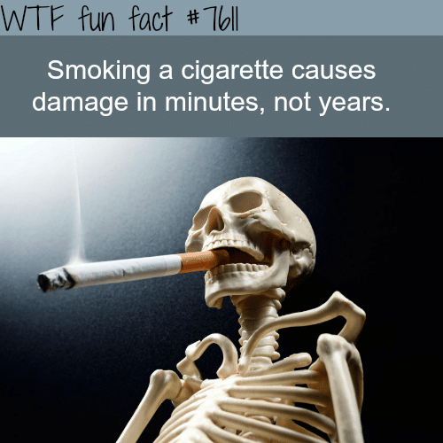 Damage from smoking starts afters minutes
