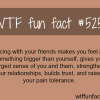 dancing with friends wtf fun facts