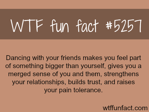 Dancing with friends - WTF fun facts