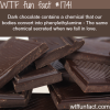 dark chocolate have a similiar effect as love