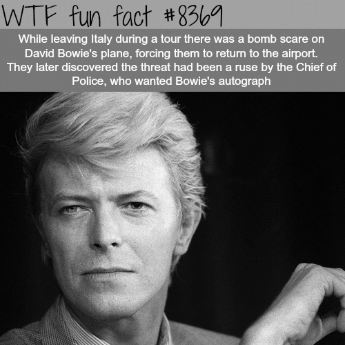 David Bowie - WTF fun facts