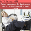 day naps are good for your health wtf fun fact