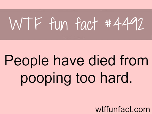 Death by pooping too hard -   WTF fun facts