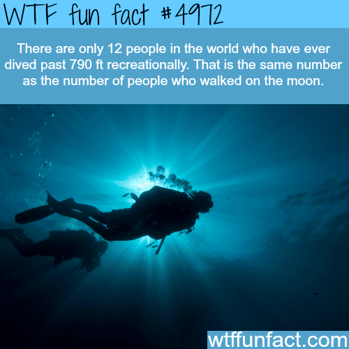 Deep diving - WTF fun facts