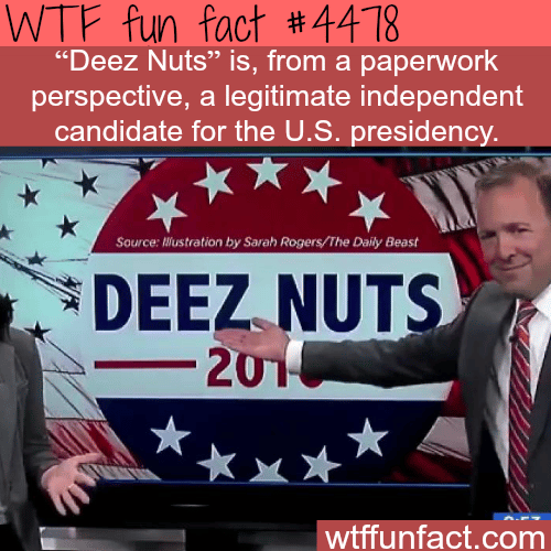 Deez Nuts for president -   WTF fun facts