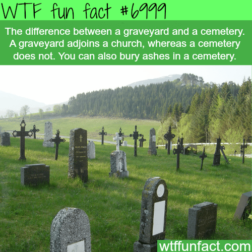 Difference between graveyard and cemetery - WTF fun facts