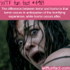 difference between terror and horror wtf fun
