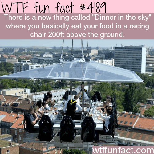 Dinner in the sky -  WTF fun facts