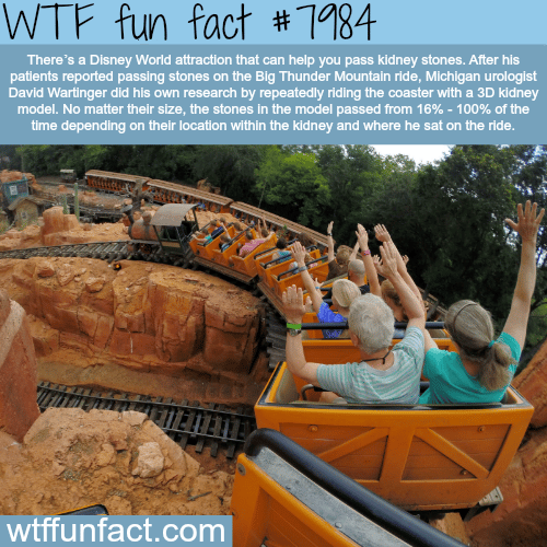 Disney attraction that can help pass kidney stones - WTF fun fact