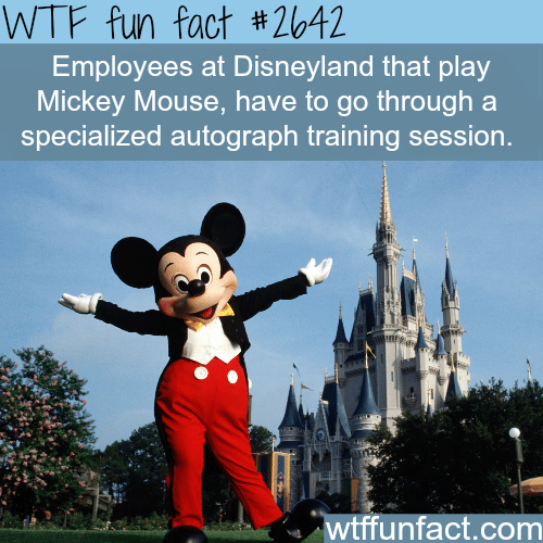 Employees at Disneyland - WTF fun facts