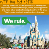 disney world has its own government wtf fun