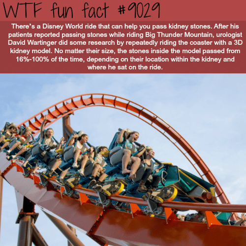 Disney world ride that will help you pass a kidney stone - WTF fun facts