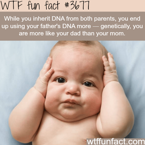 DNA and the inheritance of genetics -  WTF fun facts