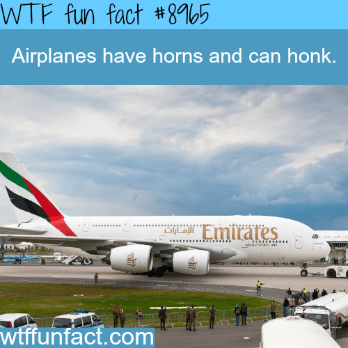 Do airplanes have horns? - WTF fun fact