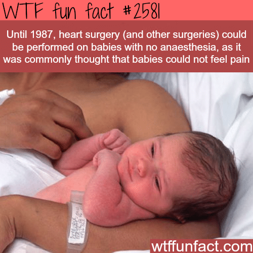 Do babies feel pain? - WTF fun facts
