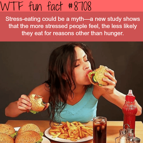 Do people eat more when they are stressed? - WTF fun facts