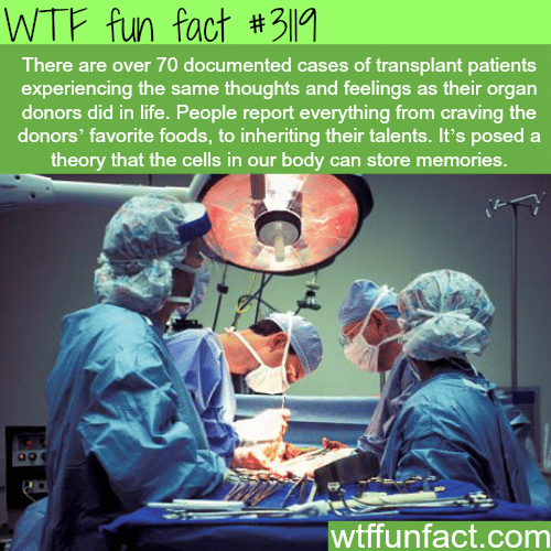 Do transplant patients feel the same as the donor?  -  WTF fun facts