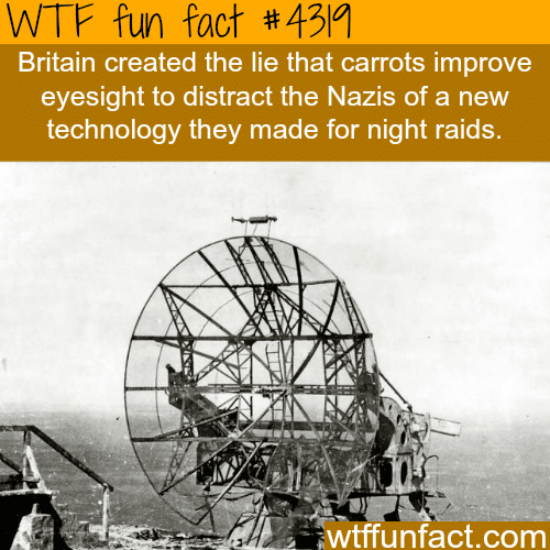 Does eating carrots improve eyesight? -  WTF fun facts