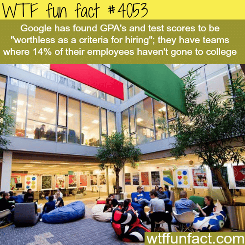 Does GPA matter when getting a job? - WTF fun facts
