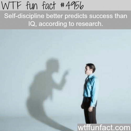 Does IQ predicts your success? - WTF fun facts