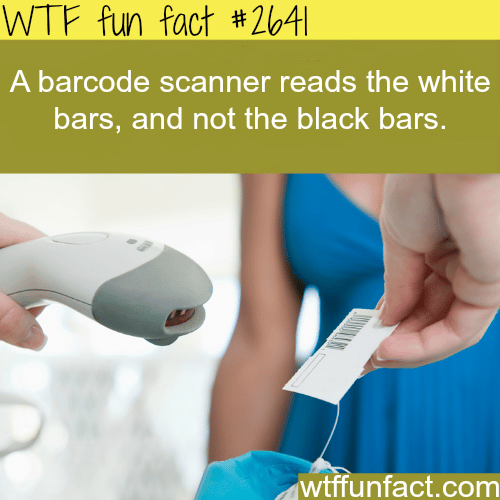 Does the barcode scanner read the white or black bars? - WTF fun facts