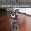dog facts wtf fun facts