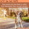 dog owners wtf fun facts