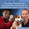 dog people have more friends according to facebook